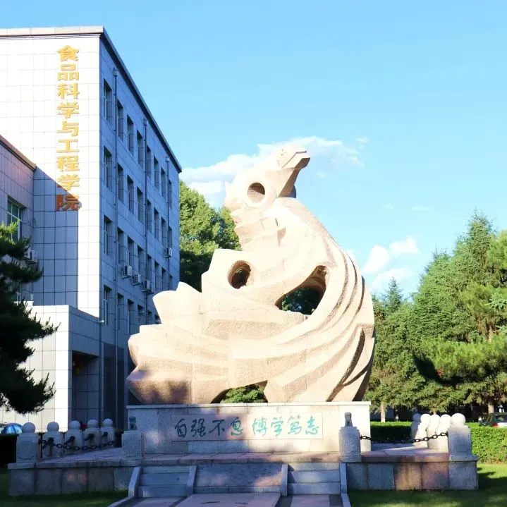如何准备季末赛以提升个人表现_2